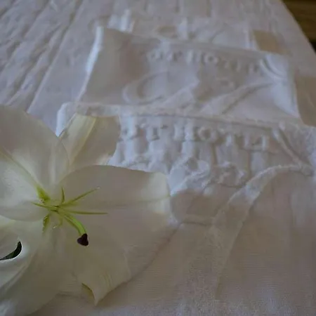 Lot Boutique By And Preference Hotel Tirana