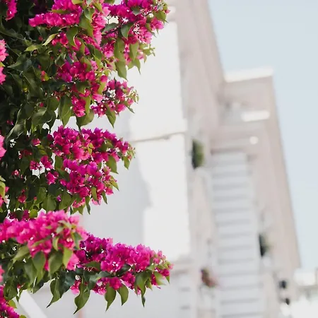 Lot Boutique By And Preference Tirana