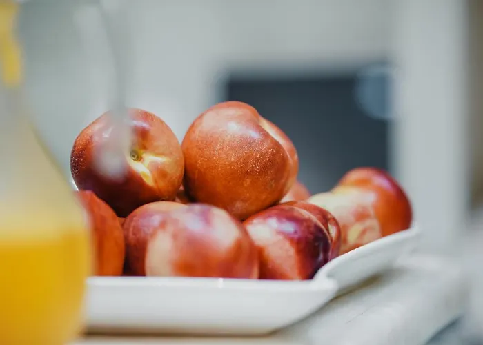 Lot Boutique By And Preference 호텔 티라나