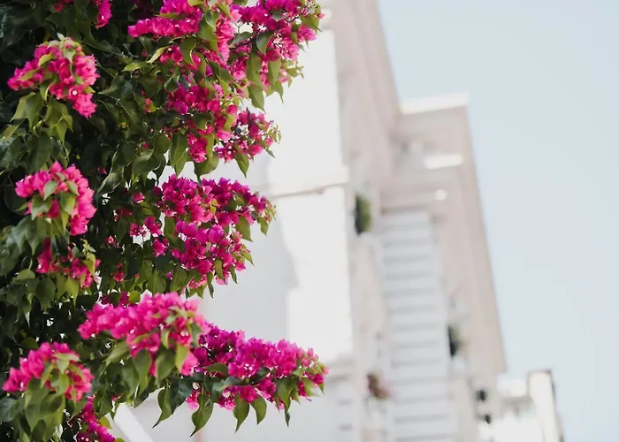 Lot Boutique By And Preference Tirana